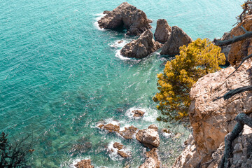 Coastal landscape with rocky hills and trees. Shore on Costa Brava in Spain
