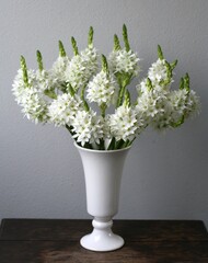 オーニソガラム