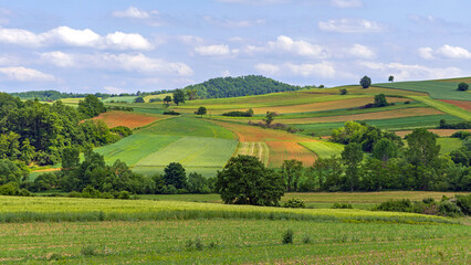 Fototapeta na wymiar Green Hills Landscape Panorama