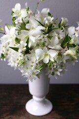 オーニソガラム