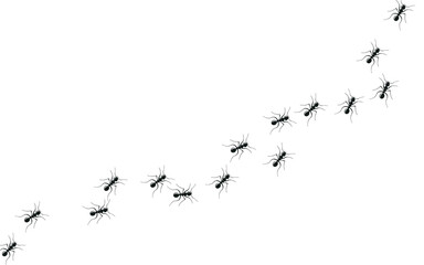 Marching ants in search of food. Ant trail colony. Vector Illustration 10 eps