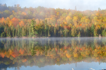 Fall Foliage in Boundary Waters Canoe are Wilderness, MN.