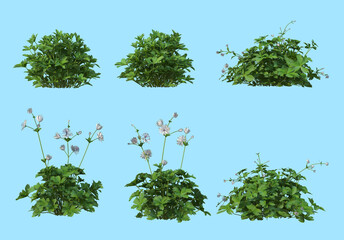 Grass on a blue background.