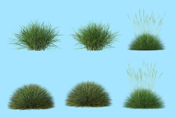 Grass on a blue background.