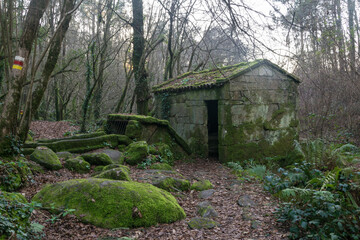 Old water mill covered with moss in a forest with dense vegetation. Ethnographic group of Maquias in Zamanes. Vigo - Spain