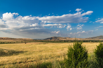 Fototapeta na wymiar Fields of wheat in a mountain valley. Cloudy sky.