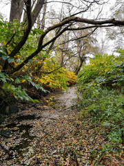 Canal de délestage, risque inondation sur les rives de la rivière La Fecht, plaine d'Alsace, France