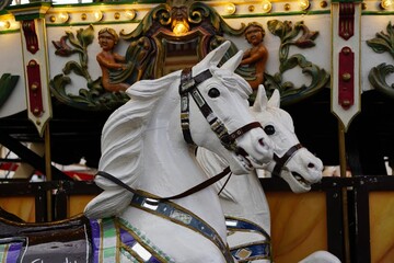 White carousel horses in an amusement park with beautiful decorations