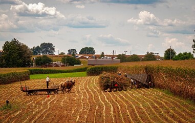 Beautiful shot of farmers and horses working on a cultivated farm