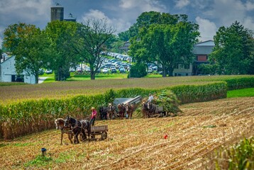 Beautiful shot of farmers and horses working on a cultivated farm
