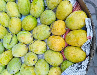 Display of ripe yellow coloured Indian mangoes (Langra variety, a popular mango cultivar available in northern India and Bihar during summer) at a roadside fruit stall in Kolkata, during summer. 