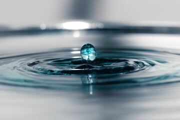 Form of a drop falling into a bowl of water
