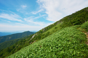Obraz premium 徳島県 剣山