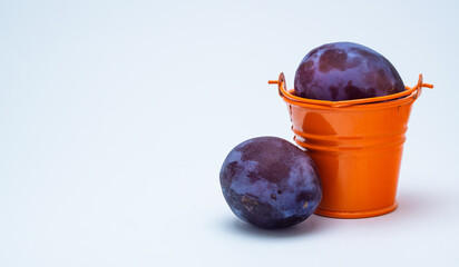 full bucket of new harvest plums