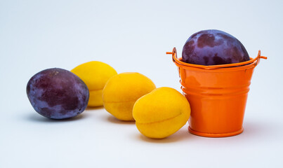 harvest of fresh plums and apricots in bucket on white background
