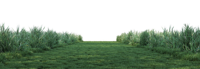 Fototapeta na wymiar Farm pathway on a white background. 