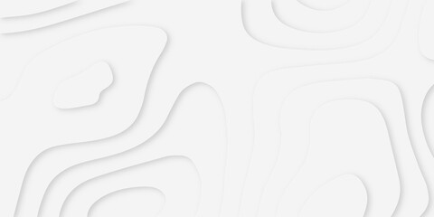 Obraz premium 3d white papercut background. Abstract cut out brochure. Luxury paper cut background, Abstract decoration, white pattern, White topographic canyon map light relief texture, curved layers and shadow. 
