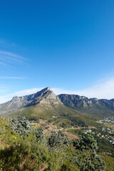 Landscape view of mountains background from a lush, green botanical garden and national park. Table Mountain in Cape Town, South Africa with blue sky and copy space while discovering peace in nature