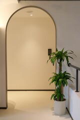 Vertical shot of an indoor plant Yucca Palm in a nice interior