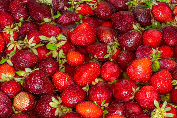 Strawberries floating over water. Macrophotography directly above view. 