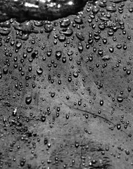 Water droplets on wood texture background in black and white closeup.
