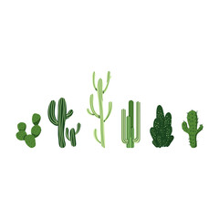 Mexican cactus set. Desert spiny plant, cacti flower and tropical home plants or garden cactuses and succulent. Flora isolated vector icons collection. Illustration in flat style.