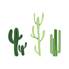 Mexican cactus set. Desert spiny plant, cacti flower and tropical home plants or garden cactuses and succulent. Flora isolated vector icons collection. Illustration in flat style.
