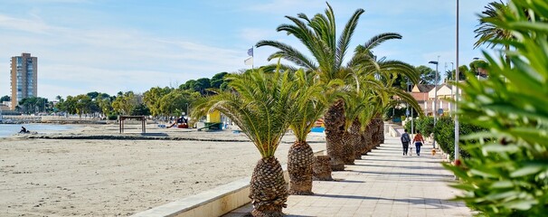 Palm tree-lined promenade leading along sandy beach - obrazy, fototapety, plakaty
