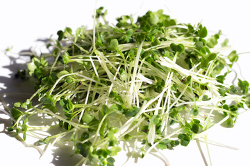 Organic kale sprouts on white background.