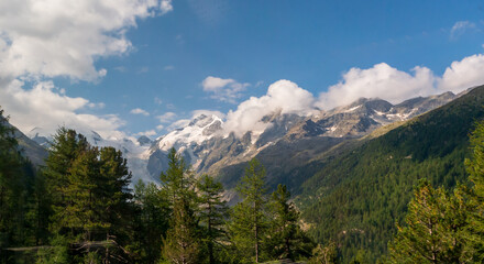 スイスの風景　アルプス山脈と森
