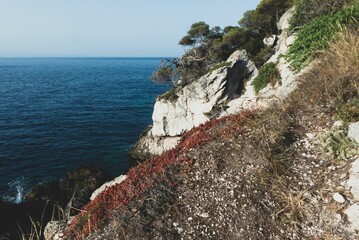 tremiti islands in italy