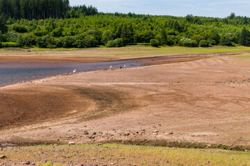 Fototapeta na wymiar Extremely low water levels at a UK reservoir during a summer heatwave