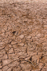 Cracked, dry earth at a reservoir during a heatwave and drought