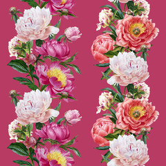 watercolor summer flowers - colorful peonies in botanical style