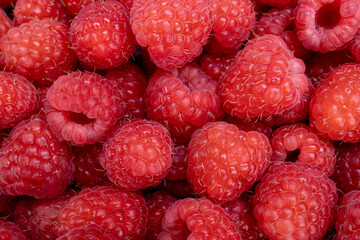 Fresh raspberry summer fruits for a healthy diet