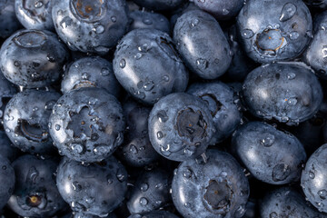 Fresh blueberry summer fruits for a healthy food and life concept