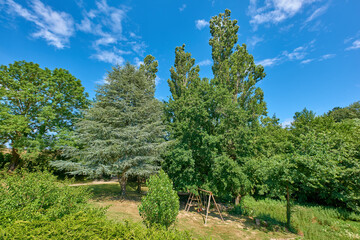 Fototapeta na wymiar Beautiful green playground with lots of trees in summer on blue sky background. Dense and vibrant park for outdoor activities or fresh air. Different tree plants creating shade near a play ground
