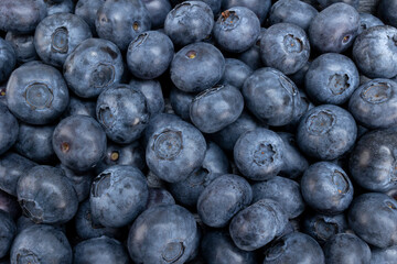 Fresh blueberry summer fruits for a healthy food and life concept