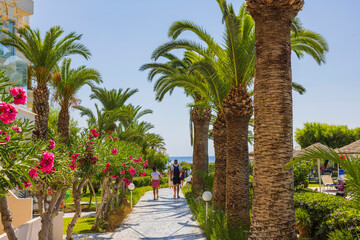 Beautiful view of path to beach through palm trees and green plants on blue see and pale blue sky background. 
