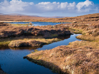 Fototapeta na wymiar A wetland area forming peat near Eshaness, Northmavine on Mainland, Shetland, UK. Taken on a sunny day with blue sky and white clouds.