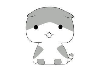cute cat