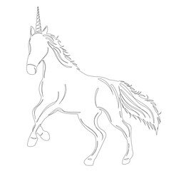 unicorn sketch on white background outline isolated