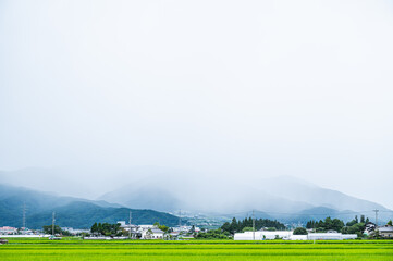 雨が降っている山際