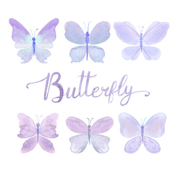 Purple butterfly watercolor set. Lavender colors. High quality photo