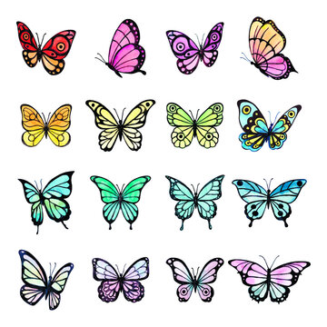 Big watercolor set of colorful butterfly. Perfect for prints, stickers and posters. Vector illustration