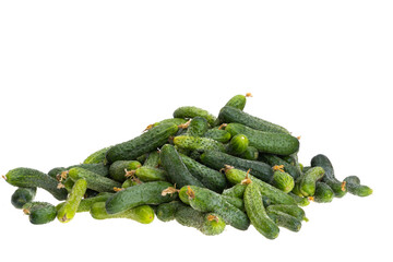 a pile of cucumbers