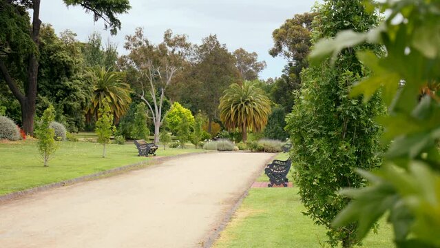 Left pan on a path at the Bendigo Botanic Gardens in Victoria, Australia