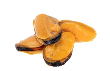 mussels isolated