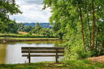 Relaxing lake or park bench to enjoy zen landscape view of scenic pond or bay of water in nature reserve or botanical garden. Local wooden seating or furniture in serene, tranquil or calm countryside
