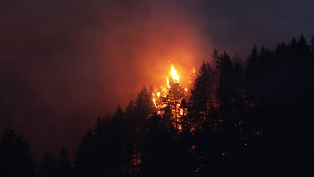 Large forest fire burns the tree covered side of a mountain in Oregon